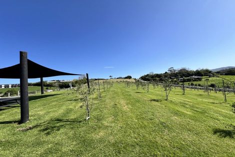 Photo of property in 367 King Road, Mangawhai, Kaiwaka, 0573