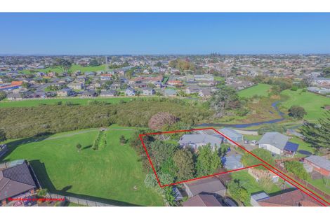 Photo of property in 21 Lachlan Place, Favona, Auckland, 2024