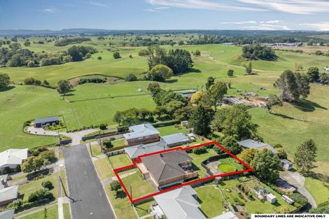 Photo of property in 15 Sholson Street, Putaruru, 3411