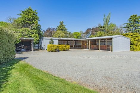 Photo of property in 181 Andersons Road, Leeston, 7682