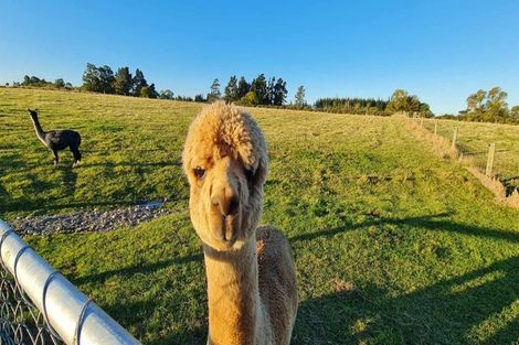 Photo of property in 7 Skevington Lane, Sefton, Rangiora, 7477