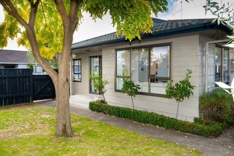 Photo of property in 11a Durham Drive, Havelock North, 4130