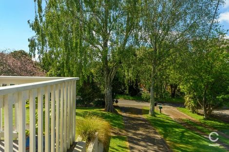 Photo of property in 9 Scantlebury Street, Tauranga South, Tauranga, 3112