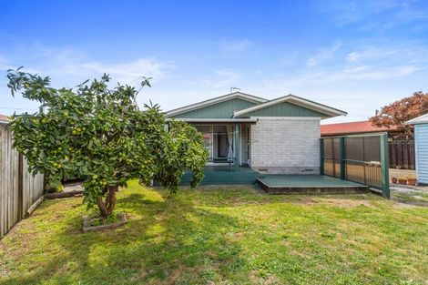 Photo of property in 99 Grandview Road, Nawton, Hamilton, 3200