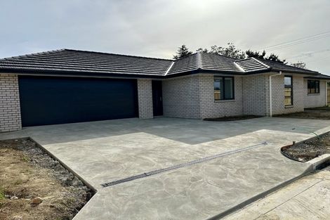 Photo of property in 24 Pahiki Crescent, Levin, 5510