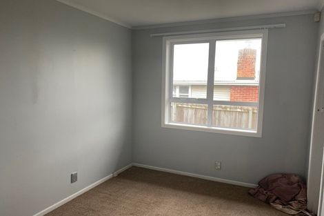 Photo of property in 60 Webster Avenue, Mount Roskill, Auckland, 1041