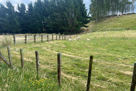Photo of property in 183 Smith Road, Dannevirke, 4978