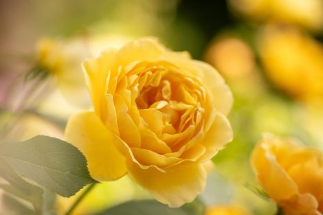 Photo of property in 1234 Paekakariki Hill Road, Paekakariki Hill, Porirua, 5381