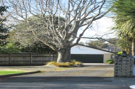Photo of property in 87 Macarthur Street, Levin, 5510