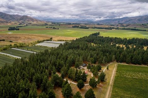 Photo of property in 411a Maori Point Road, Tarras, Cromwell, 9383