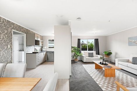 Photo of property in 51a Alfred Street, Fairfield, Hamilton, 3214