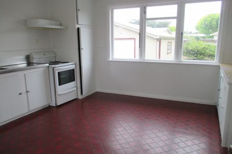 Photo of property in 116 Limbrick Street, Terrace End, Palmerston North, 4410