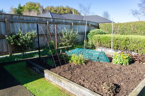 Photo of property in 38 Ruahine Street, Dannevirke, 4930