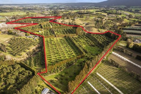 Photo of property in 44 Walker Road West, Aongatete, Katikati, 3178