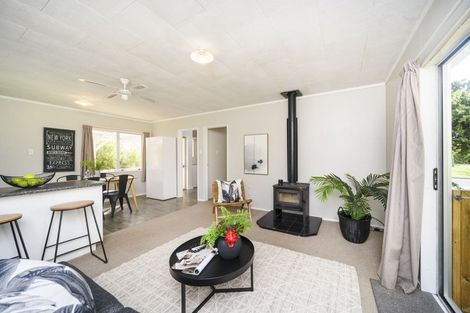 Photo of property in 29 Kowhai Street, Feilding, 4702