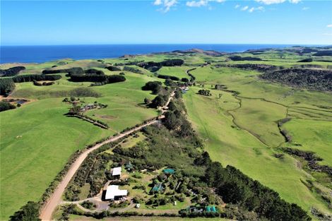 Photo of property in 1246 Babylon Coast Road, Omamari, Dargaville, 0373