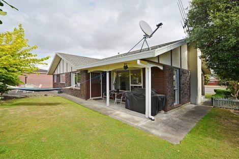 Photo of property in 17 Caulfield Place, Awapuni, Palmerston North, 4412