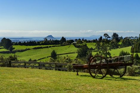Photo of property in 11f Adrine Lane, Ohauiti, Tauranga, 3173