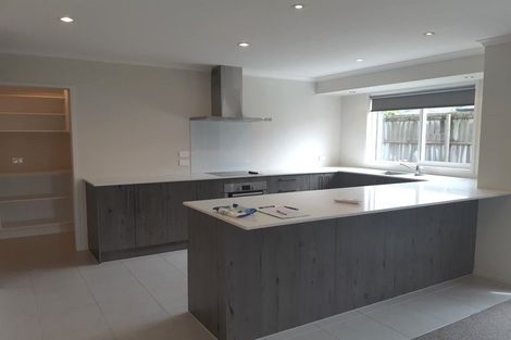 Photo of property in 4 Millbrae Place, Pokeno, 2402