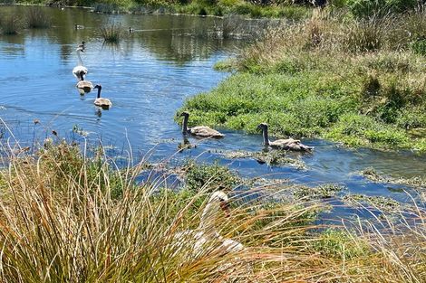 Photo of property in 158 Southfield Drive, Lincoln, 7608