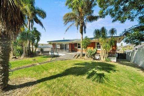 Photo of property in 3 Halberg Street, Papakura, 2110