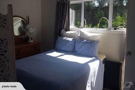 Photo of property in 22a Heath Street, St Andrews, Hamilton, 3200