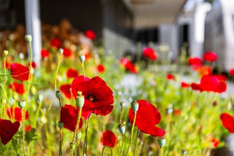 Photo of property in 617 Dunstan Road, Alexandra, 9391