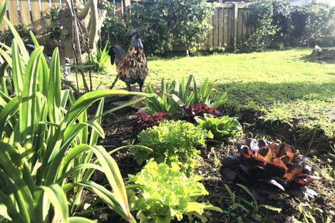 Photo of property in 72 Roberts Street, Waihi, 3610