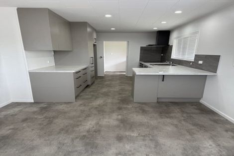 Photo of property in 49a Te Aute Road, Havelock North, 4130