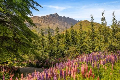 Photo of property in 453 Littles Road, Dalefield, Queenstown, 9371