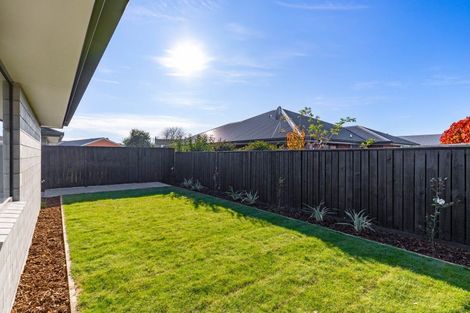 Photo of property in 259a Scott Street, Redwoodtown, 7201