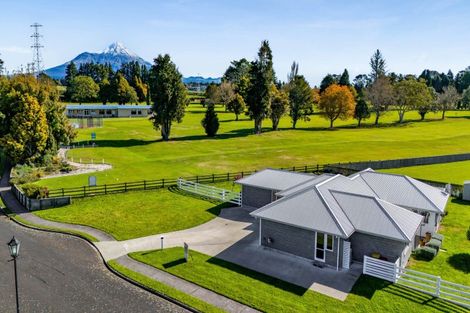 Photo of property in 2 Mercade Close, Stratford, 4332