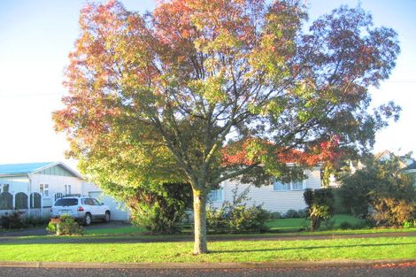 Photo of property in 24 Avis Avenue, Papatoetoe, Auckland, 2025