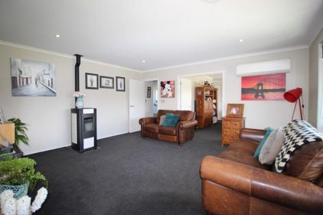 Photo of property in 19 Larch Crescent, Alexandra, 9320