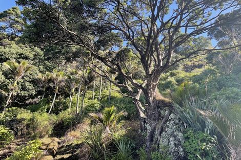 Photo of property in 14 Boulder Bay Drive, Tuateawa, Coromandel, 3583