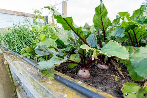 Photo of property in 522 Allanton Road, Outram, 9073