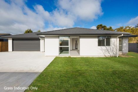 Photo of property in 18b Pukepapa Road, Marton, 4710