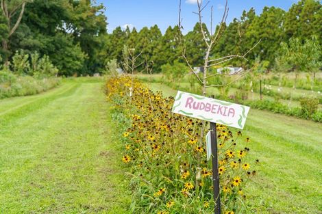 Photo of property in 288 Oropi Gorge Road, Oropi, Tauranga, 3173