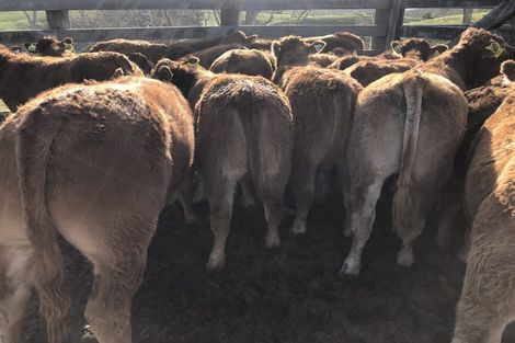 Photo of property in 492 Wairere Road, Paparoa, 0571