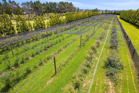 Photo of property in 438 Alfred Road, Kaimiro, New Plymouth, 4371