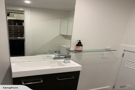 Photo of property in 225 Aro Street, Aro Valley, Wellington, 6021