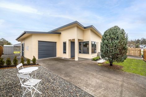 Photo of property in 45 Ballance Street, Masterton, 5810