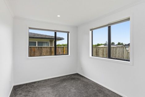 Photo of property in 97 Hinemoa Street, Levin, 5510