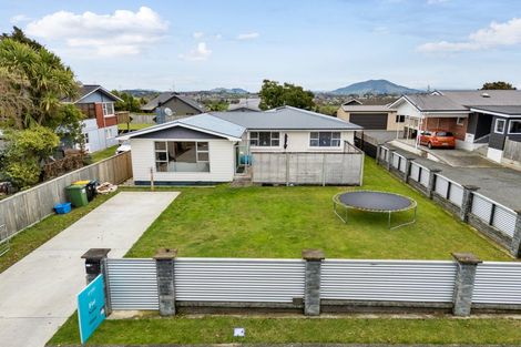 Photo of property in 137 Mcnair Road, Te Awamutu, 3800
