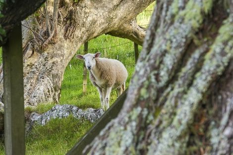 Photo of property in 987 Hibiscus Coast Highway, Waiwera, Orewa, 0994