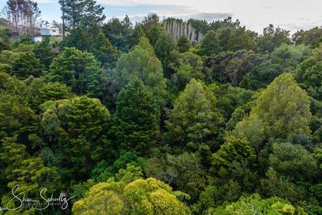 Photo of property in 800 Bickerstaffe Road, Maungaturoto, 0587