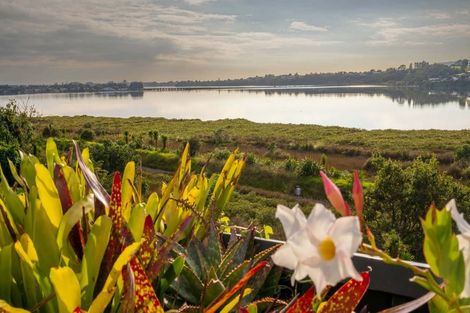 Photo of property in 78 Esk Street, Parkvale, Tauranga, 3112