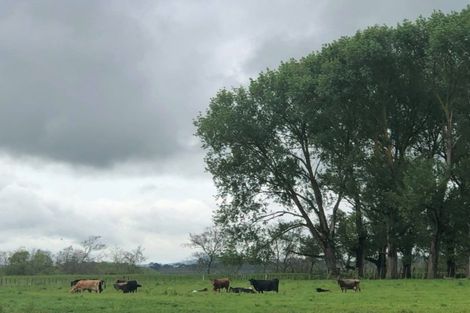 Photo of property in 65 Paetai Road, Ohinewai, Huntly, 3771