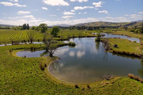 Photo of property in 35 Brighton Street, Island Bay, Wellington, 6023