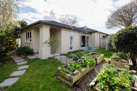 Photo of property in 61 Bowen Street, Cambridge, 3434